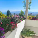 עבודה של גלעד, גוזם עצים (3)