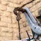 עבודה של עופר, מדביר (4)