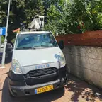 עבודה של דימה, גוזם עצים (17)