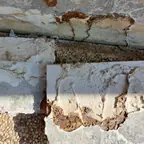 עבודה של אדי, מדביר (1)