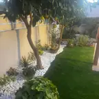 עבודה של איציק, גנן (7)