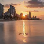 עבודה של בר, מתווך (1)