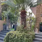 עבודה של מודי, גנן (17)