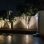 עבודה של פורת, גנן (9)