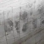 עבודה של אליהו, קבלן שיש (5)
