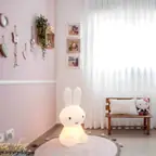 עבודה של שירלי, מעצב פנים (15)