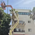עבודה של מאיר, גוזם עצים (1)