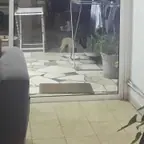עבודה של אלון, קבלן אלומיניום (7)
