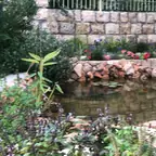 עבודה של ערן, גנן (18)