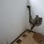 עבודה של לאון, אינסטלטור (8)