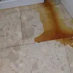 עבודה של איציק, אינסטלטור (1)