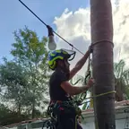 עבודה של שמעון, גנן (10)