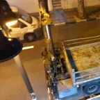 עבודה של מאיר, גוזם עצים (7)