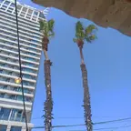 עבודה של אלי, גוזם עצים (15)