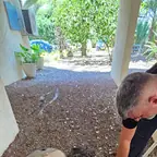 עבודה של אריק, חברת ביובית (8)