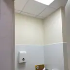 עבודה של דניאל, צבע (8)