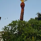 עבודה של אלי, גוזם עצים (21)