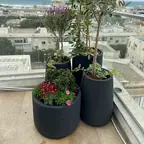 עבודה של דניאל, גנן (16)