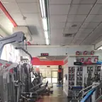 עבודה של רומן, מאמן כושר (3)