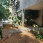 עבודה של רן, גנן (4)