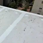 עבודה של רפאל, קבלן איטום (4)