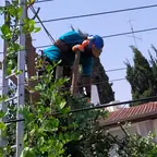 עבודה של רועי, גוזם עצים (13)