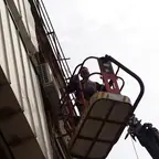 עבודה של מאיר, גוזם עצים (15)