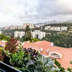 עבודה של ערן, גנן (22)