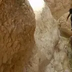 עבודה של טוני, איש עבודות בגובה (3)