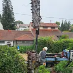 עבודה של מאיר, גוזם עצים (18)