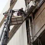 עבודה של מאיר, גוזם עצים (12)