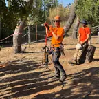 עבודה של טוני, איש עבודות בגובה (13)
