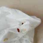 עבודה של ליאור, מדביר (2)