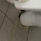עבודה של דניאל, מאתר נזילות (4)
