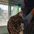 עבודה של יהודה, מדביר (7)