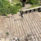עבודה של דן, מדביר (2)