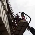 עבודה של מאיר, גוזם עצים (16)