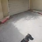 עבודה של רפי, מנעולן (7)