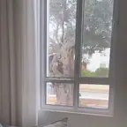 עבודה של אורן, גנן (9)
