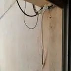 עבודה של פנחס, קבלן גבס (2)