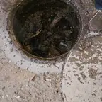 עבודה של אריק, חברת ביובית (12)