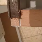 עבודה של יהודה, מדביר (8)