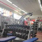 עבודה של רומן, מאמן כושר (1)