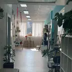 עבודה של אורטל, מאמן כושר (4)