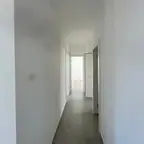 עבודה של דניאל, צבע (24)