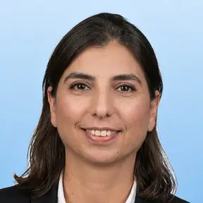 שלי – עורך דין חובות