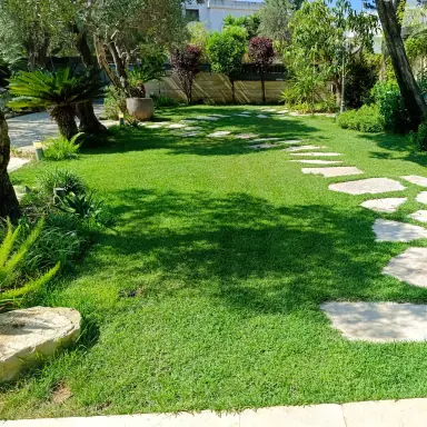 עבודה של ניר, גנן (3)