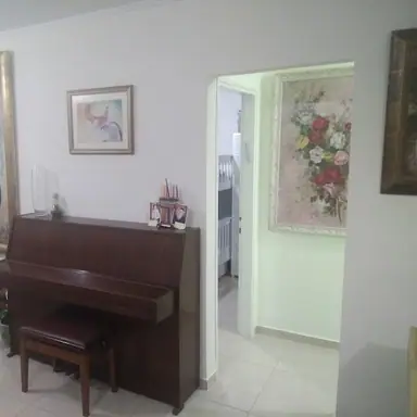 עבודה של שמעון, צבע (3)