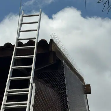 עבודה של בועז, מדביר (4)