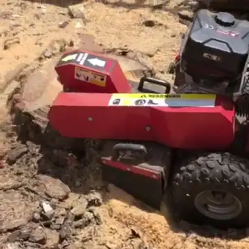 עבודה של אלי, גוזם עצים (2)